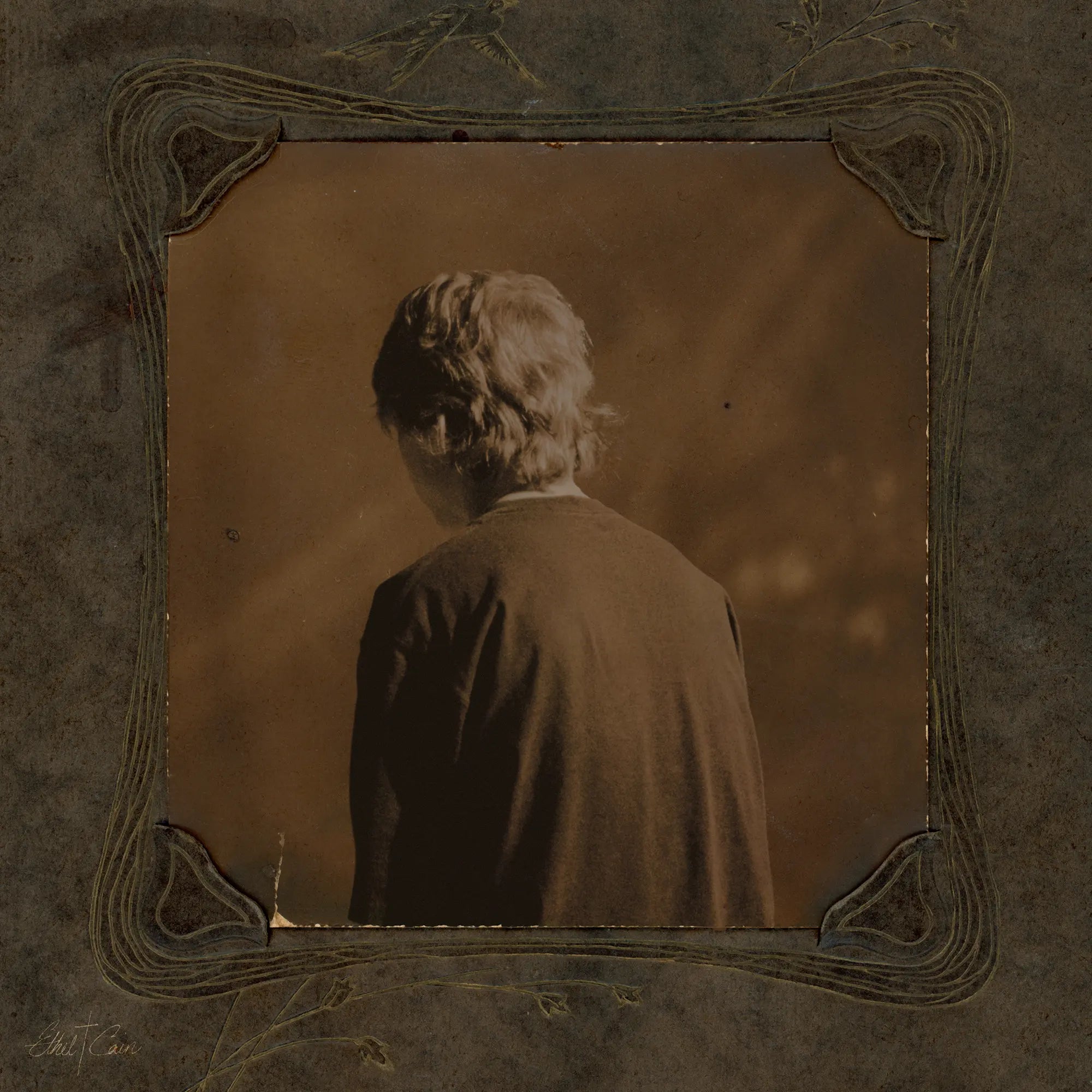 Ethel Cain - Willoughby Tucker