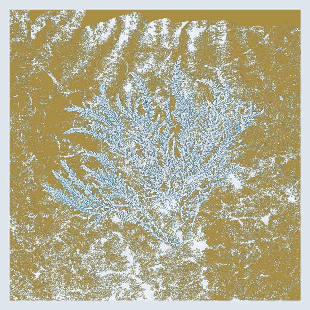 Huerco S. - For Those Of You Who Have Never