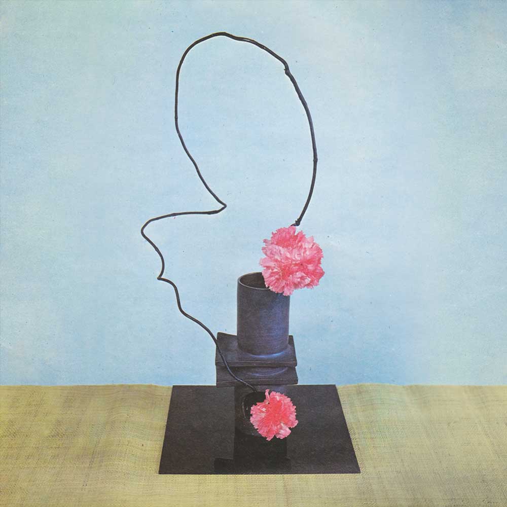 Methyl Ethel - Oh Inhuman Spectacle (Vinyl LP Record Cover) Artistic depiction of a face with a wire running through it, leading to a vase with pink flowers on a light blue background.