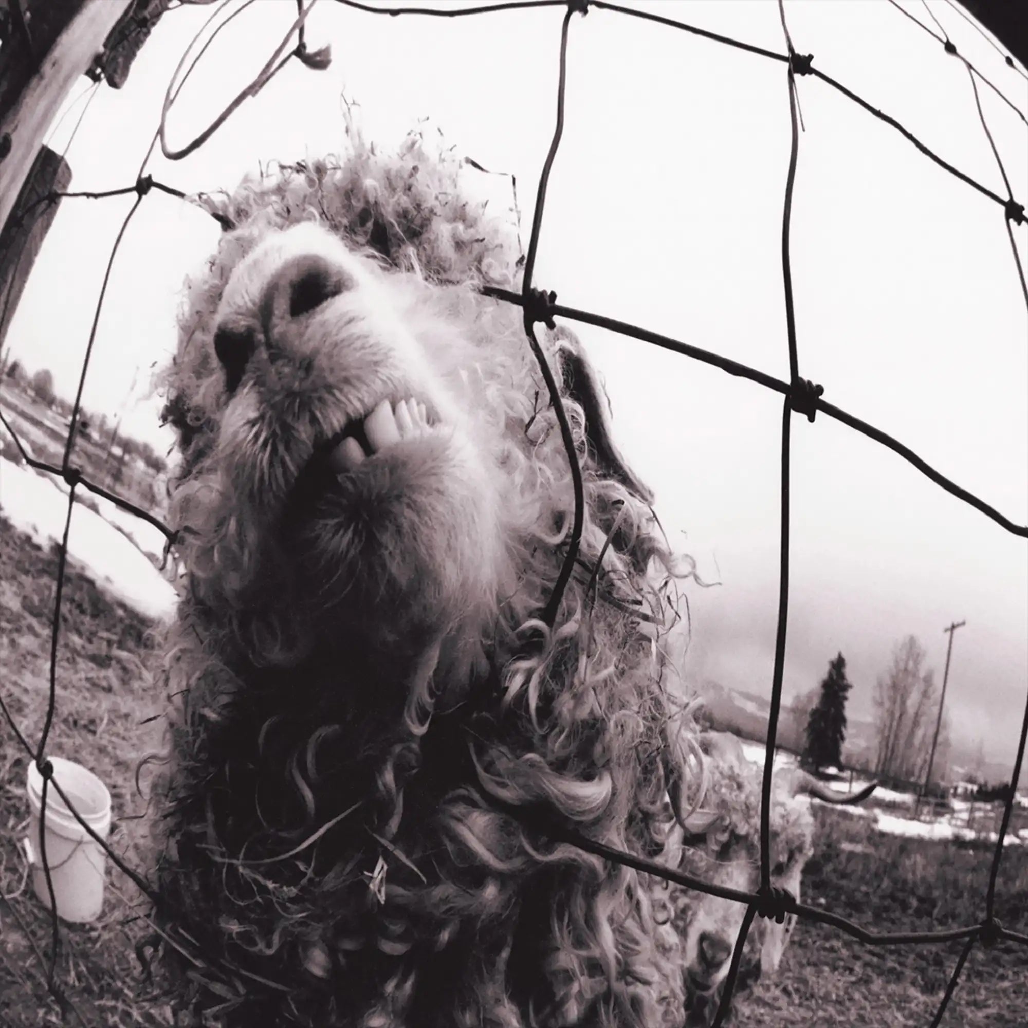 Pearl Jam - Vs