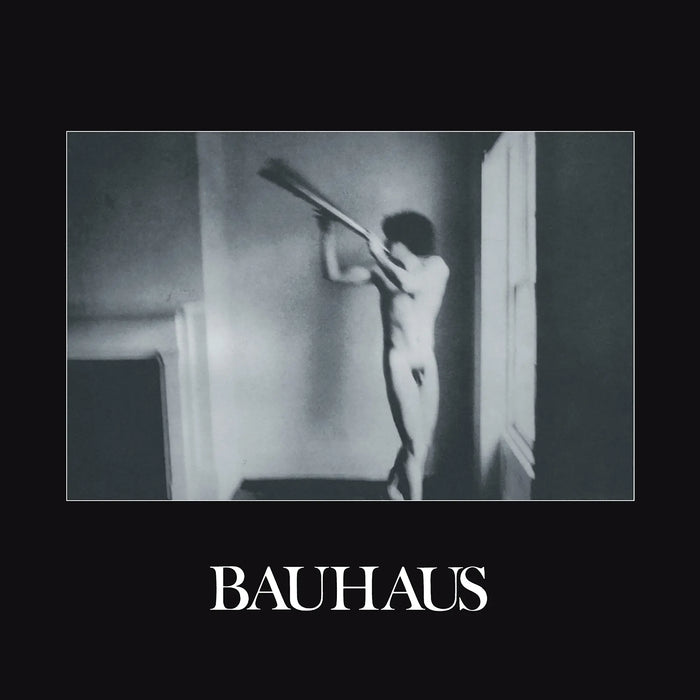 Bauhaus - In The Flat Field (Vinyl LP)