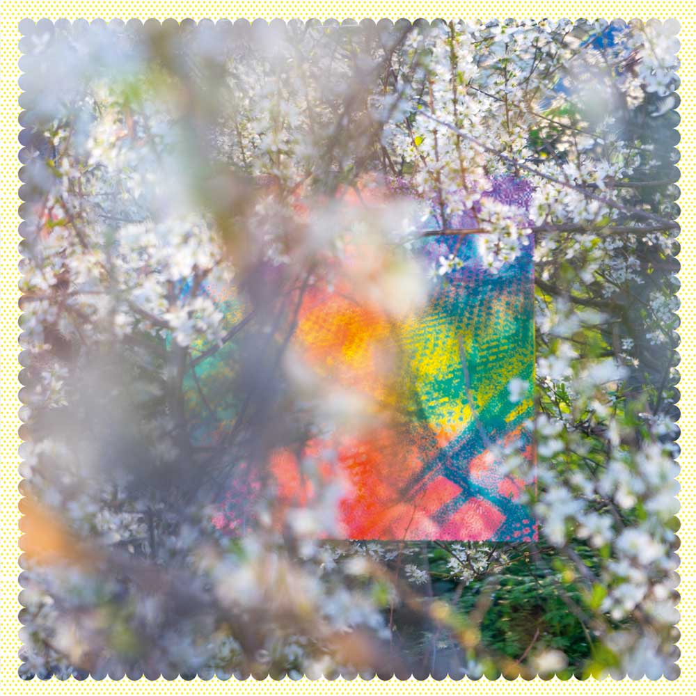 Four Tet - Sixteen Oceans (Vinyl 2LP) A square art print or photo with a scalloped border, depicting a colorful, abstract scene of blooming white flowers in the foreground with a vibrant, multicolored background of red, orange, yellow, green, and blue.