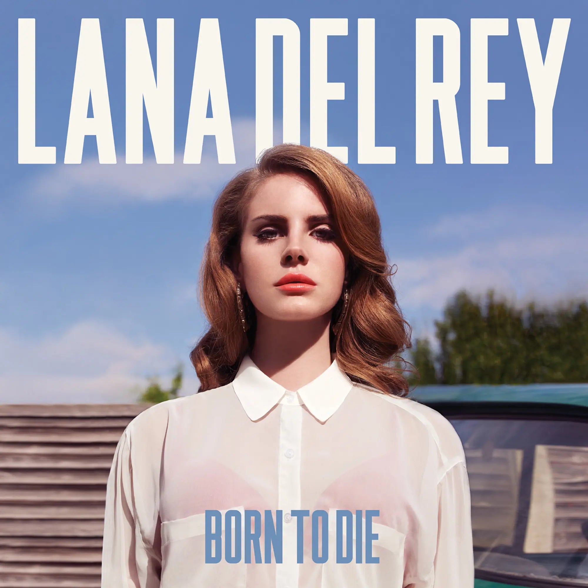 Lana Del Ray - Born to Die Vinyl