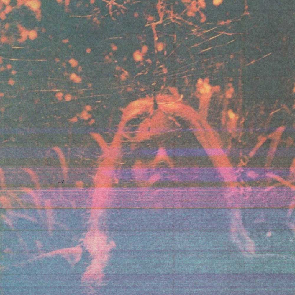 Turnover – Peripheral Vision